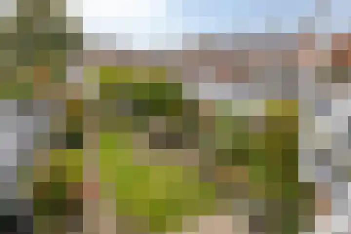 Wuiver 36 Spanbroek thumbnail 27