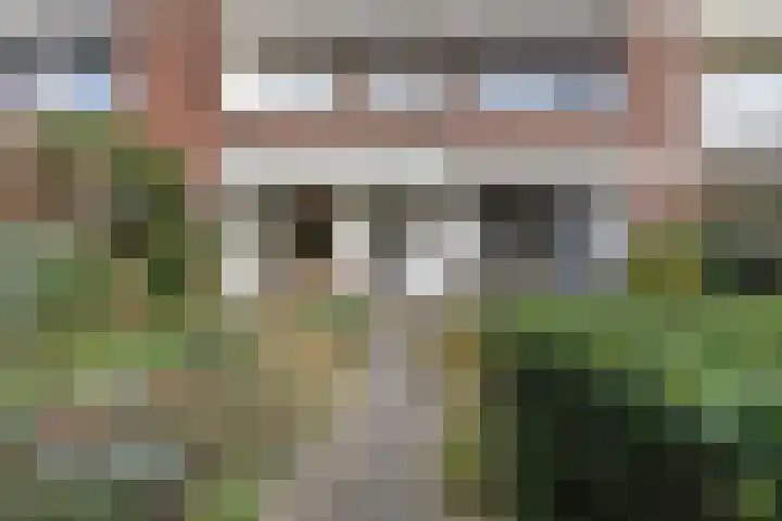 Wuiver 36 Spanbroek thumbnail 28