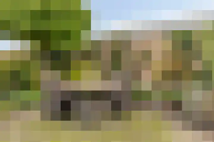 Wuiver 36 Spanbroek thumbnail 28