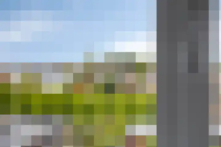 Wuiver 36 Spanbroek thumbnail 30