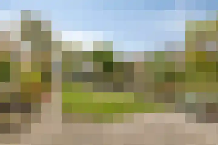 Wuiver 36 Spanbroek thumbnail 5
