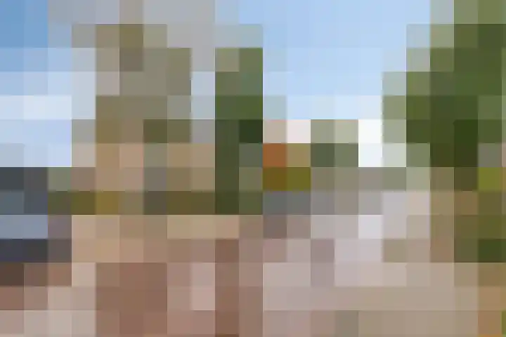 Wuiver 36 Spanbroek thumbnail 6