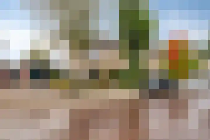 Wuiver 36 Spanbroek thumbnail 7