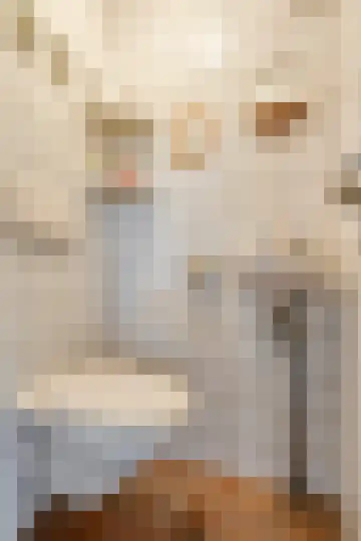 Wuiver 36 Spanbroek thumbnail 9