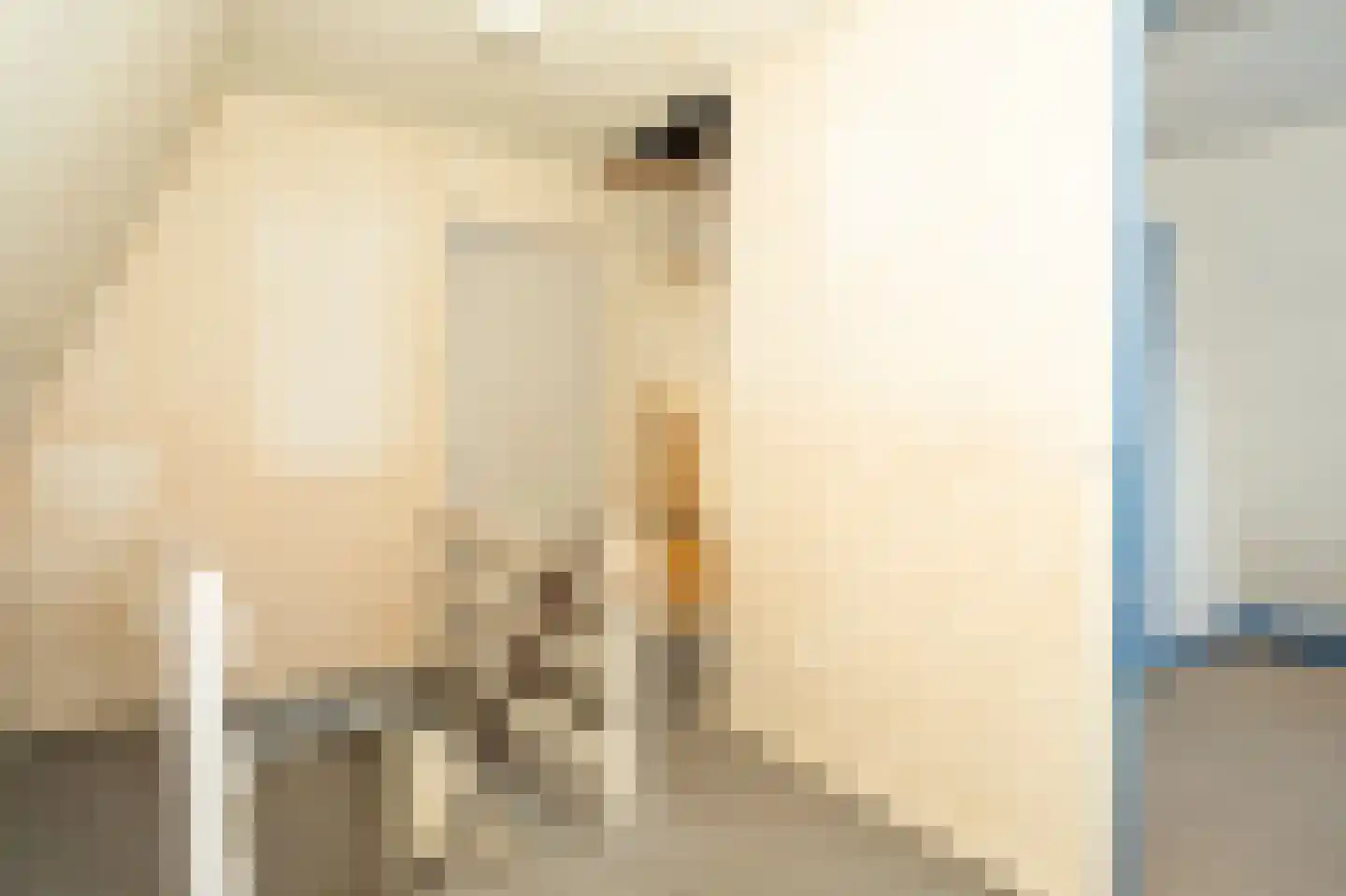 Wuiver 9 Spanbroek thumbnail 15