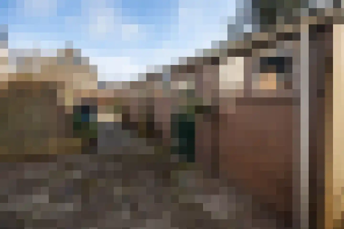 Wuiver 9 Spanbroek thumbnail 28