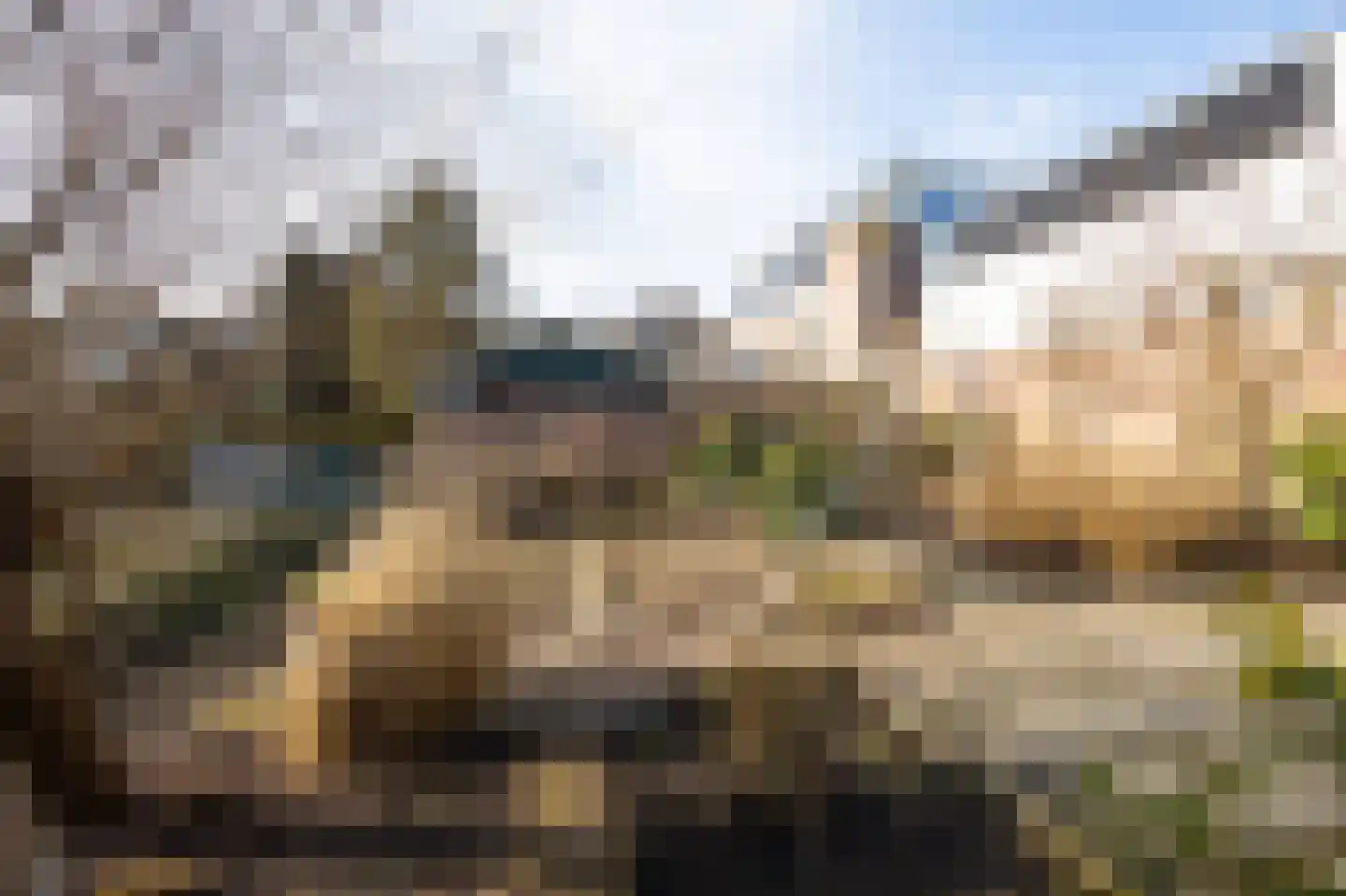 Wuiver 9 Spanbroek thumbnail 33
