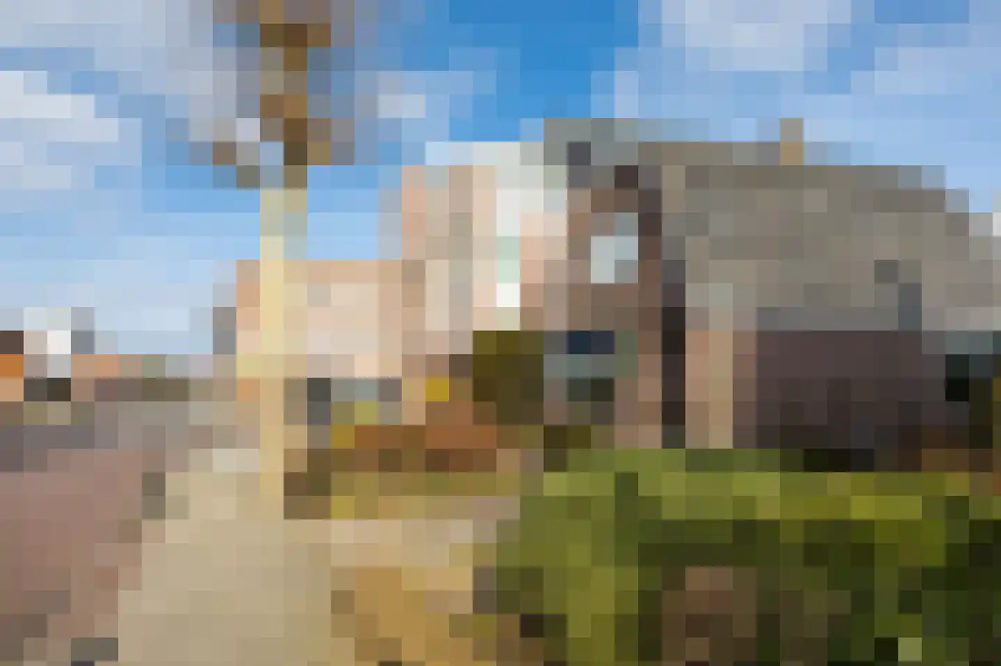Wuiver 9 Spanbroek thumbnail 4