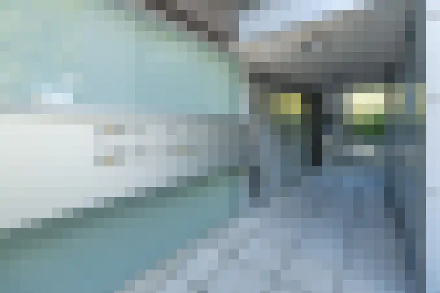 Wulfert Floorlaan 2 Driebergen-Rijsenburg thumbnail 36