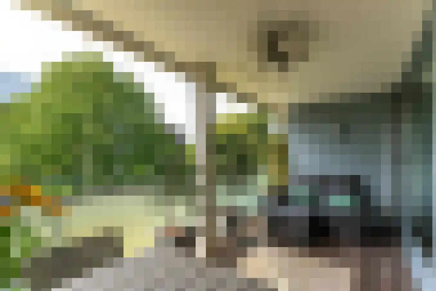 Wulfert Floorlaan 28 Driebergen-Rijsenburg thumbnail 17