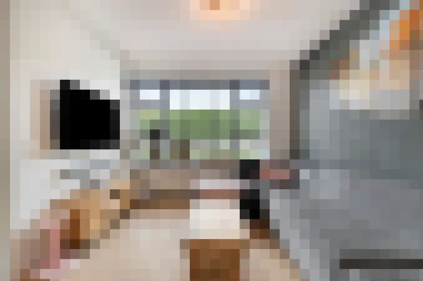 Wulk 19 Middenmeer thumbnail 11