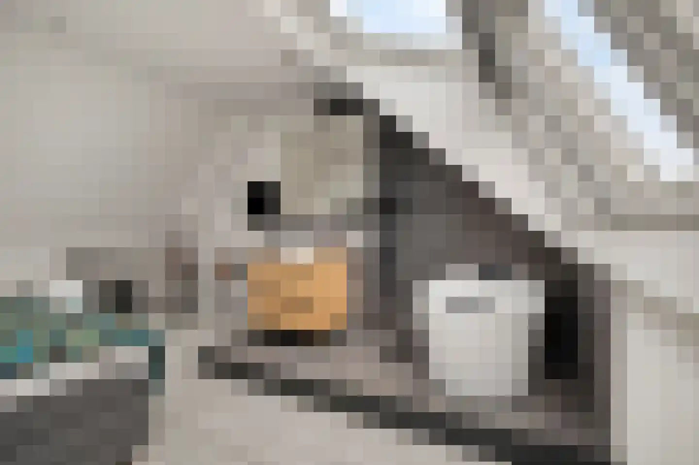 Wulk 19 Middenmeer thumbnail 34