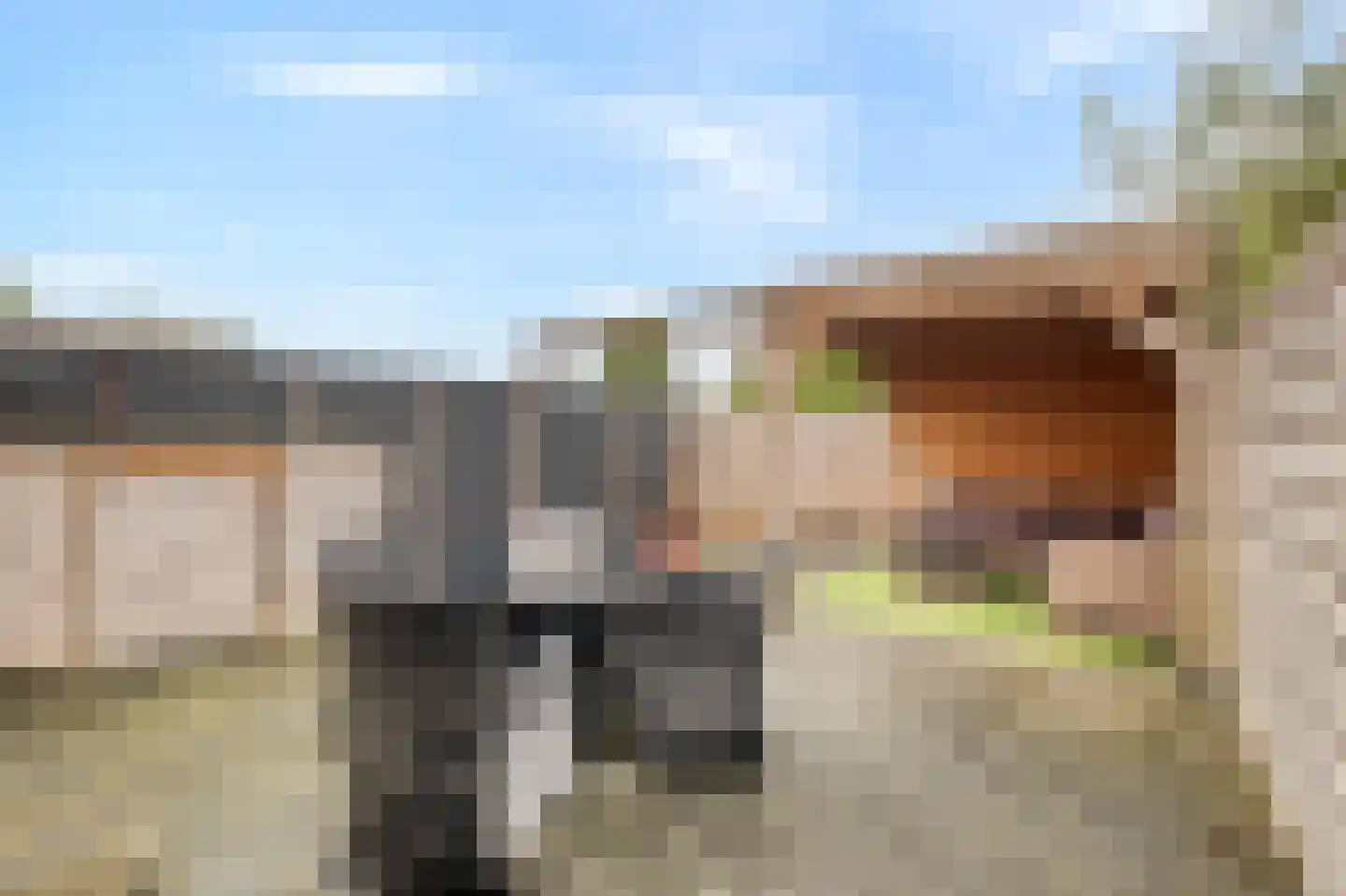 Wulk 19 Middenmeer thumbnail 38