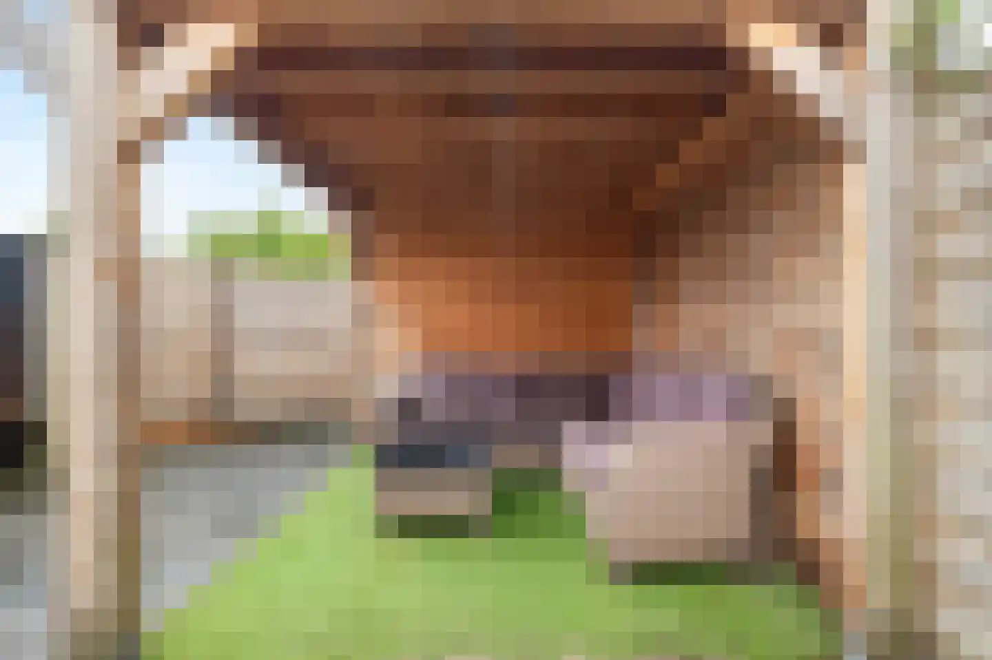 Wulk 19 Middenmeer thumbnail 39