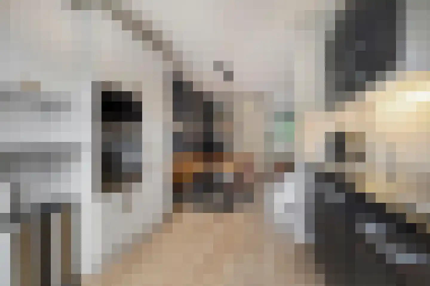 Wulk 19 Middenmeer thumbnail 4