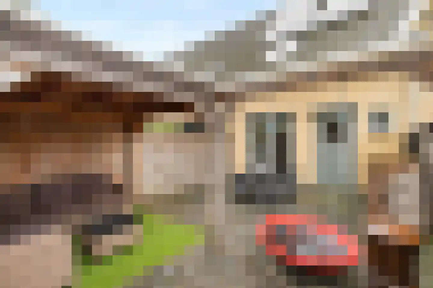 Wulk 19 Middenmeer thumbnail 40