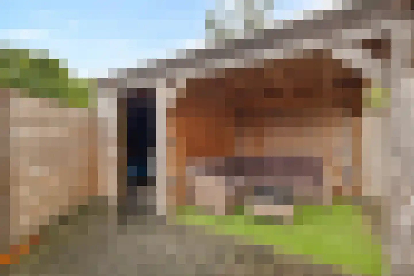 Wulk 19 Middenmeer thumbnail 41