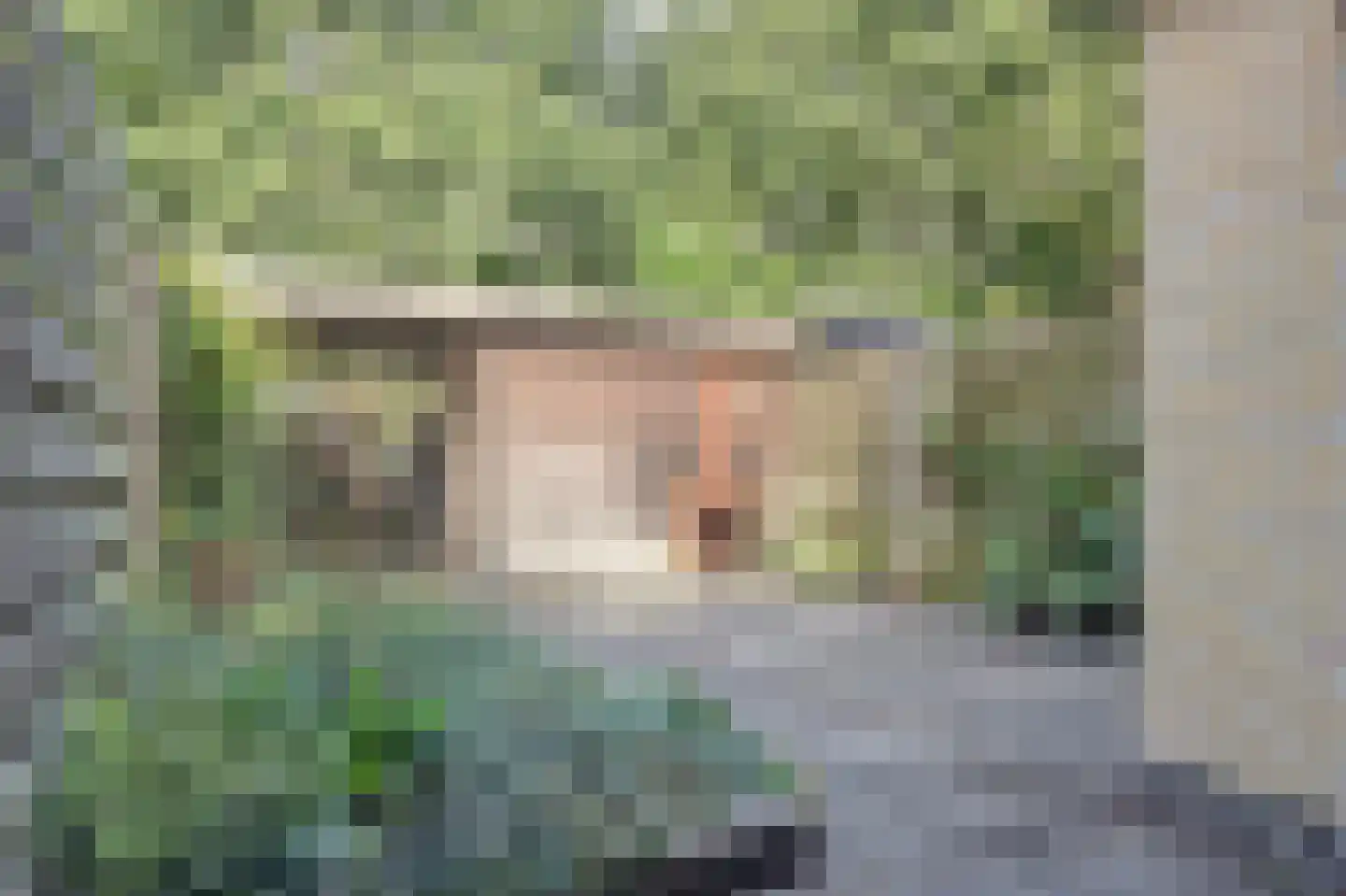 Wulk 33 Middenmeer thumbnail 22