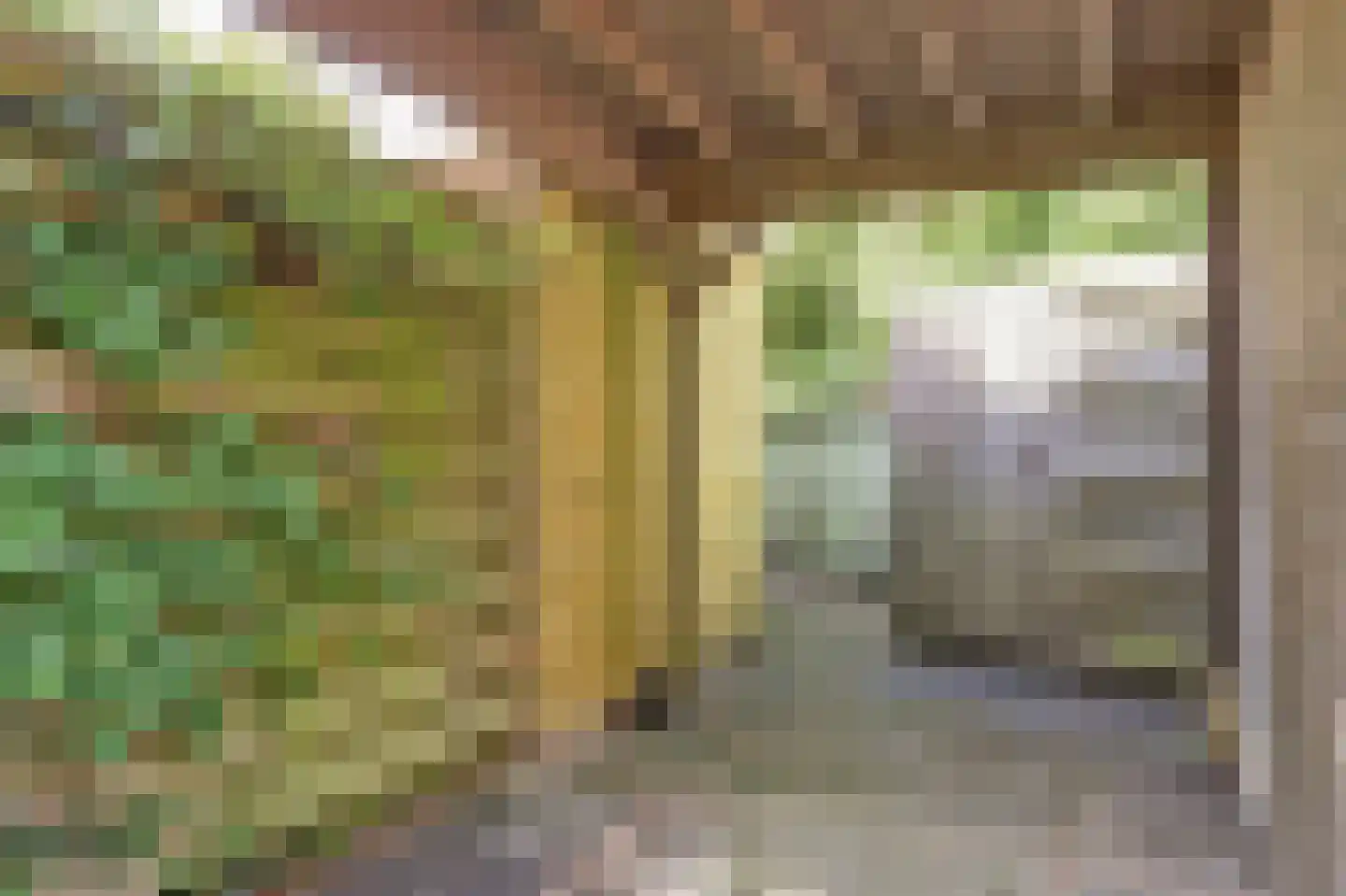 Wulk 33 Middenmeer thumbnail 24