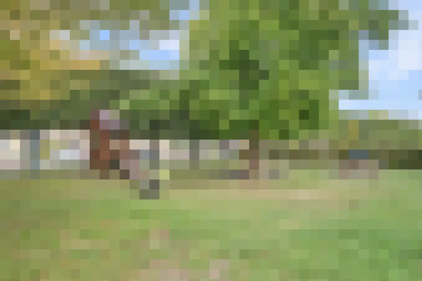 Wulk 33 Middenmeer thumbnail 25