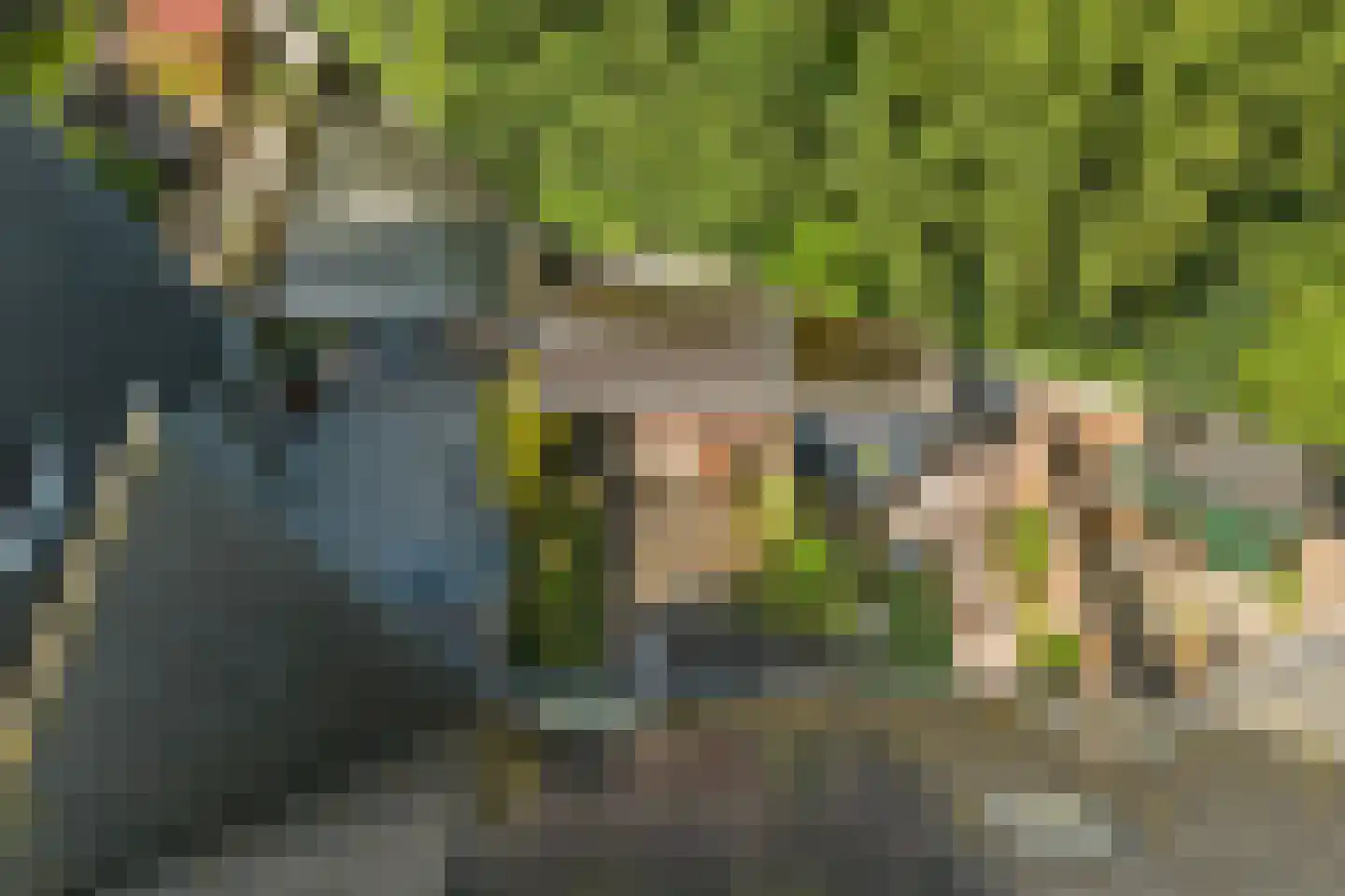 Wulk 33 Middenmeer thumbnail 27