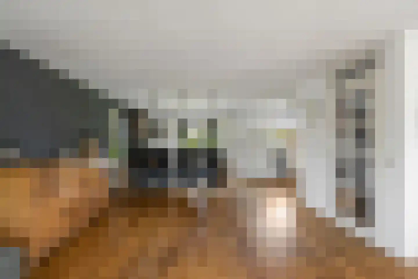 Wulk 6 Middenmeer thumbnail 12