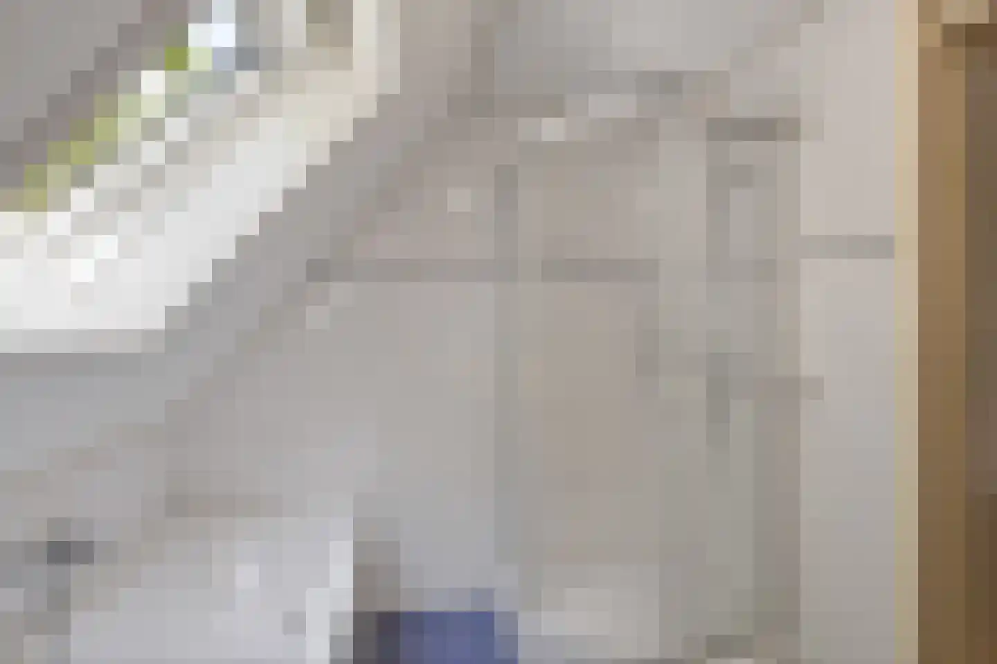Wulk 6 Middenmeer thumbnail 32