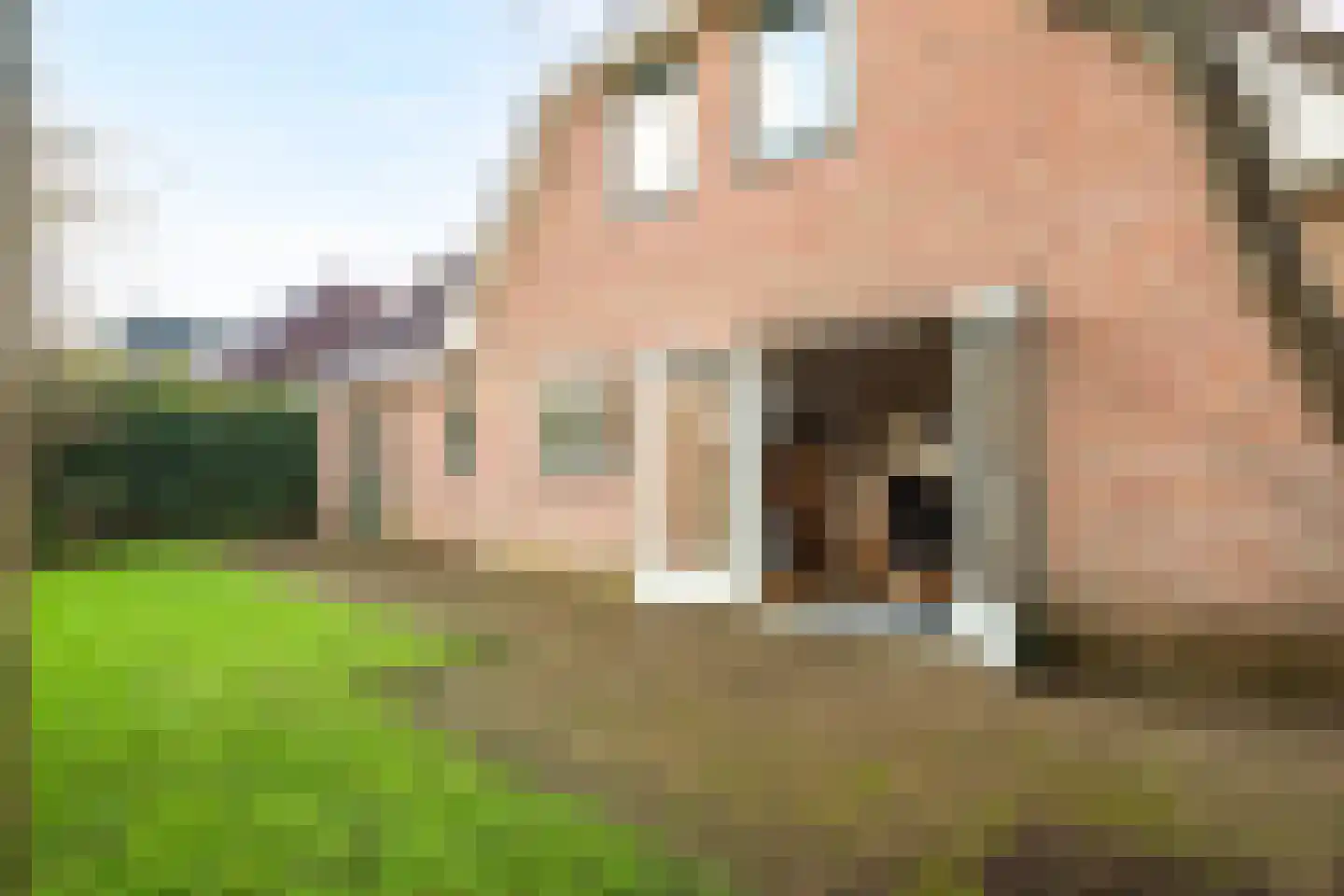 Wulk 6 Middenmeer thumbnail 38