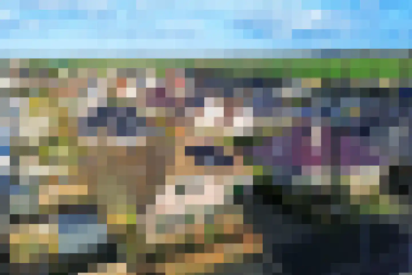 Wulk 6 Middenmeer thumbnail 40