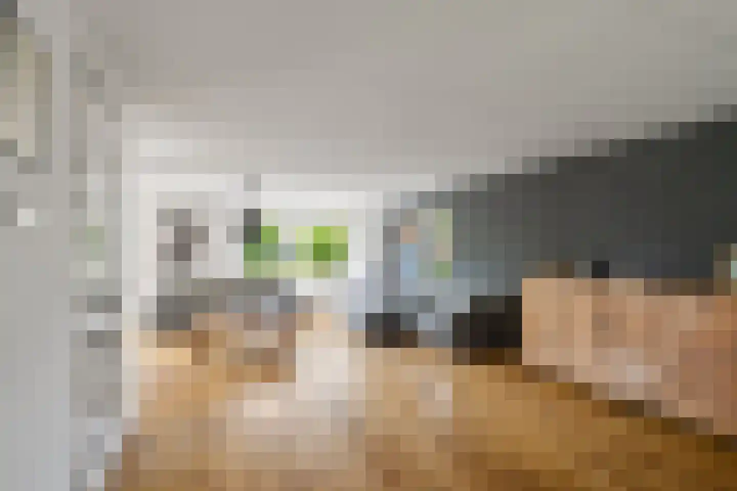Wulk 6 Middenmeer thumbnail 8