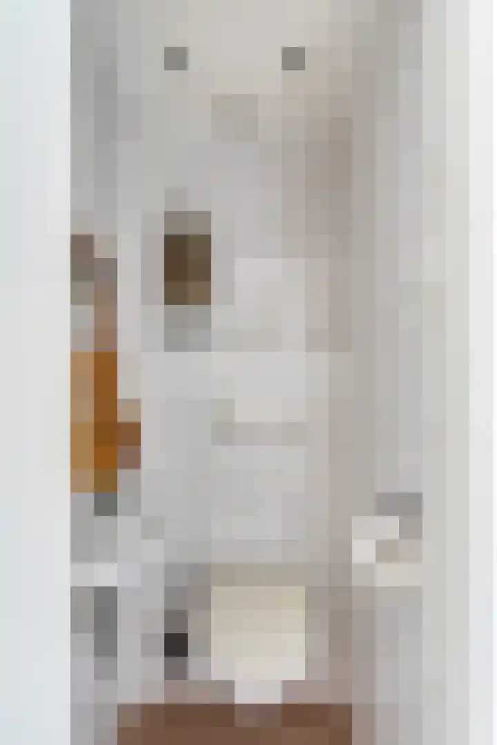 Wulk 9 Swifterbant thumbnail 12