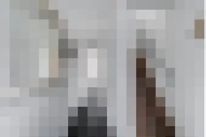 Wulk 9 Swifterbant thumbnail 13