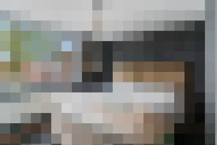 Wulk 9 Swifterbant thumbnail 14