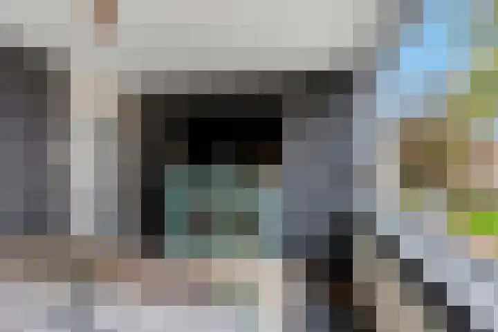 Wulk 9 Swifterbant thumbnail 15