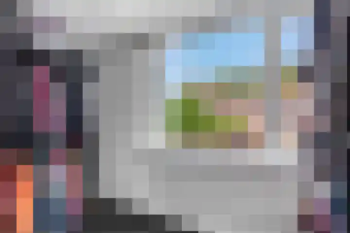 Wulk 9 Swifterbant thumbnail 16