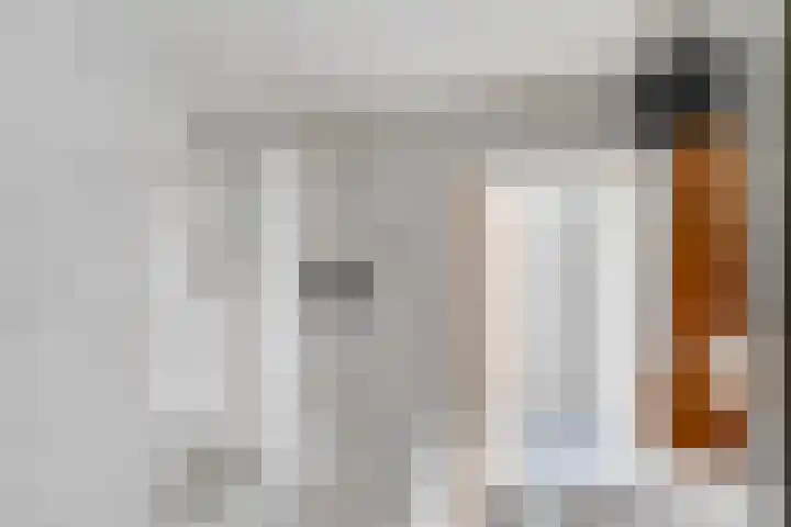 Wulk 9 Swifterbant thumbnail 19