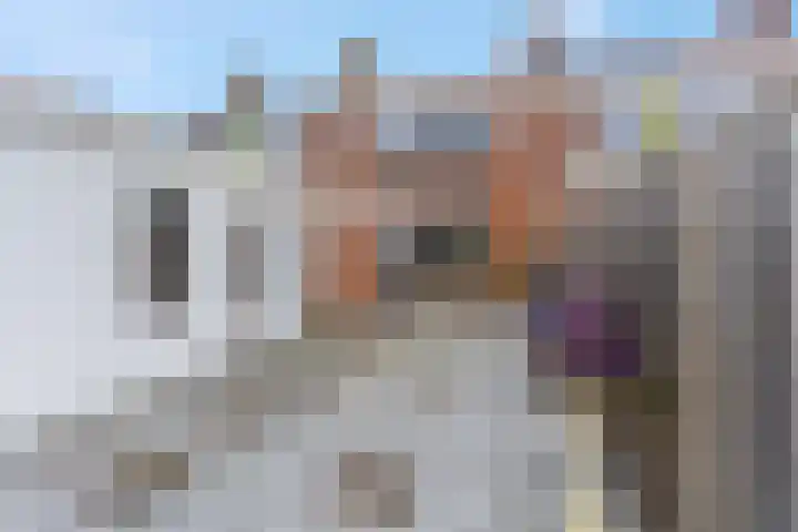 Wulk 9 Swifterbant thumbnail 25