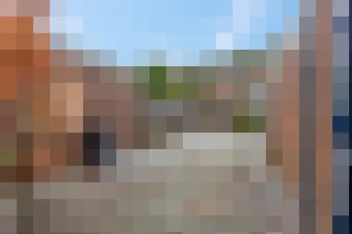 Wulk 9 Swifterbant thumbnail 26