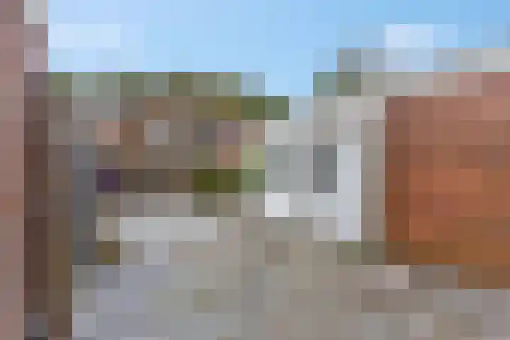 Wulk 9 Swifterbant thumbnail 27