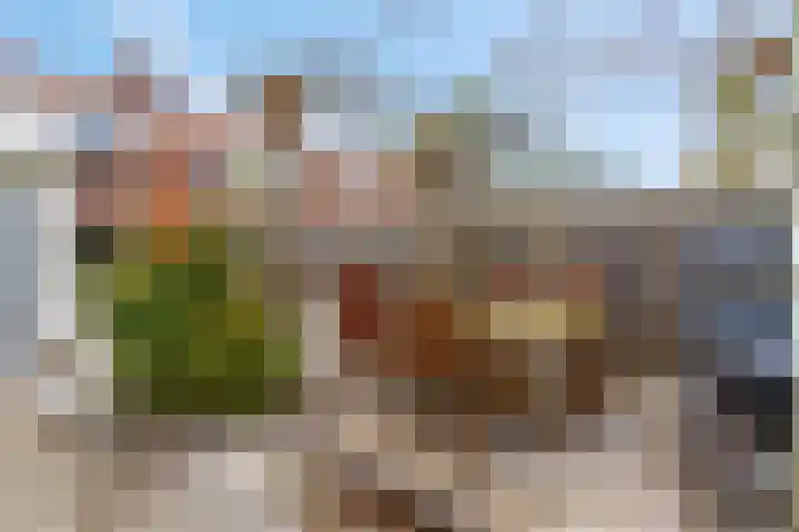 Wulk 9 Swifterbant thumbnail 28
