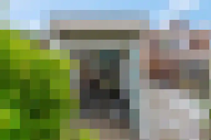 Wulk 9 Swifterbant thumbnail 29