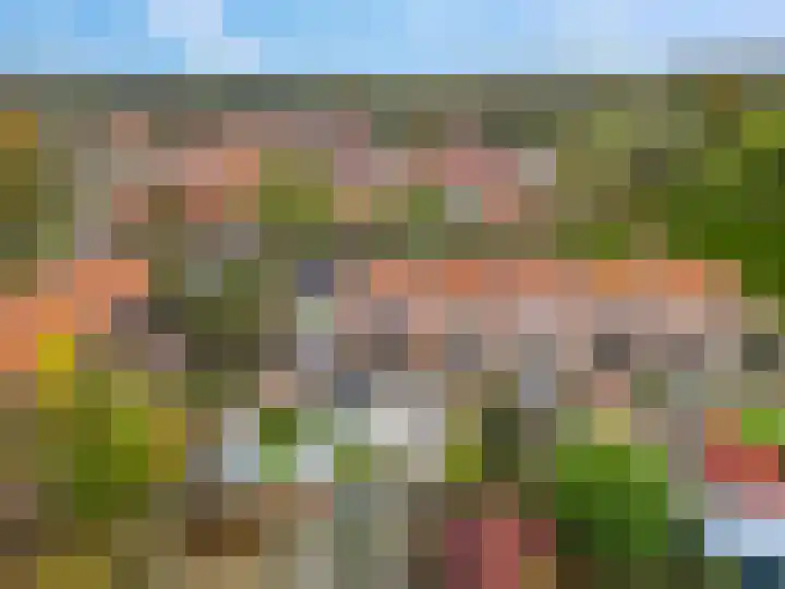 Wulk 9 Swifterbant thumbnail 30