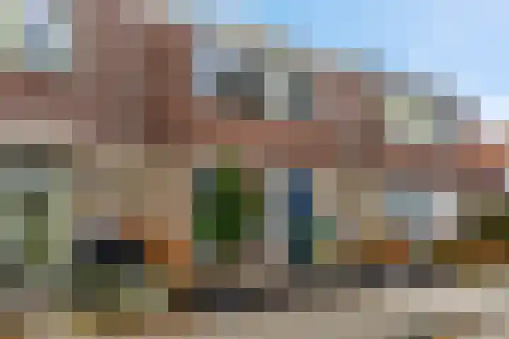 Wulk 9 Swifterbant thumbnail 31