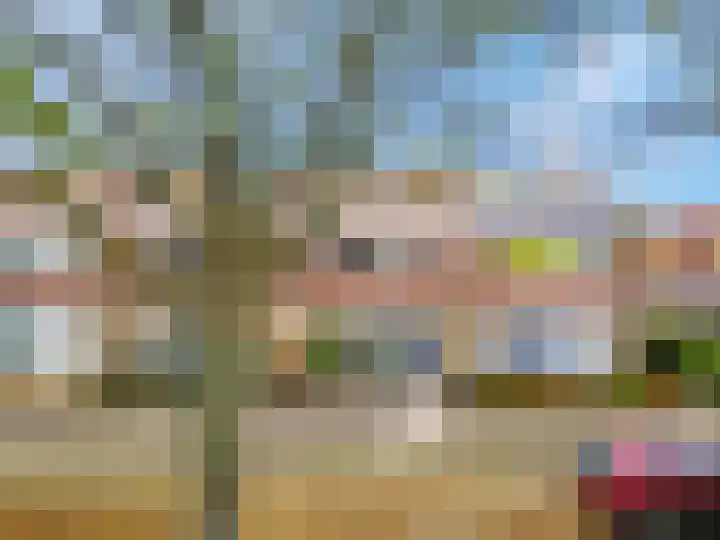 Wulk 9 Swifterbant thumbnail 32