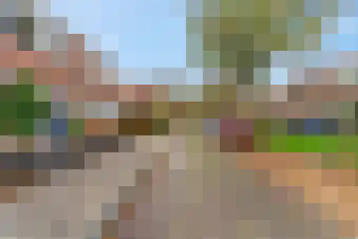 Wulk 9 Swifterbant thumbnail 33
