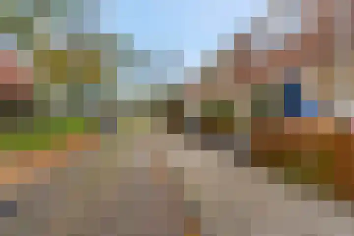 Wulk 9 Swifterbant thumbnail 34