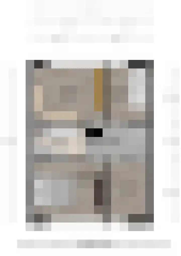 Wulk 9 Swifterbant thumbnail 36