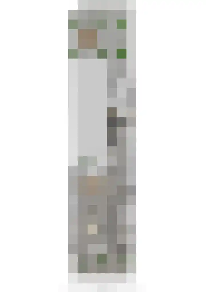 Wulk 9 Swifterbant thumbnail 38