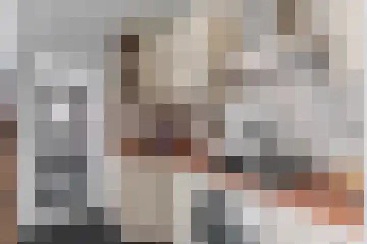Wulk 9 Swifterbant thumbnail 8