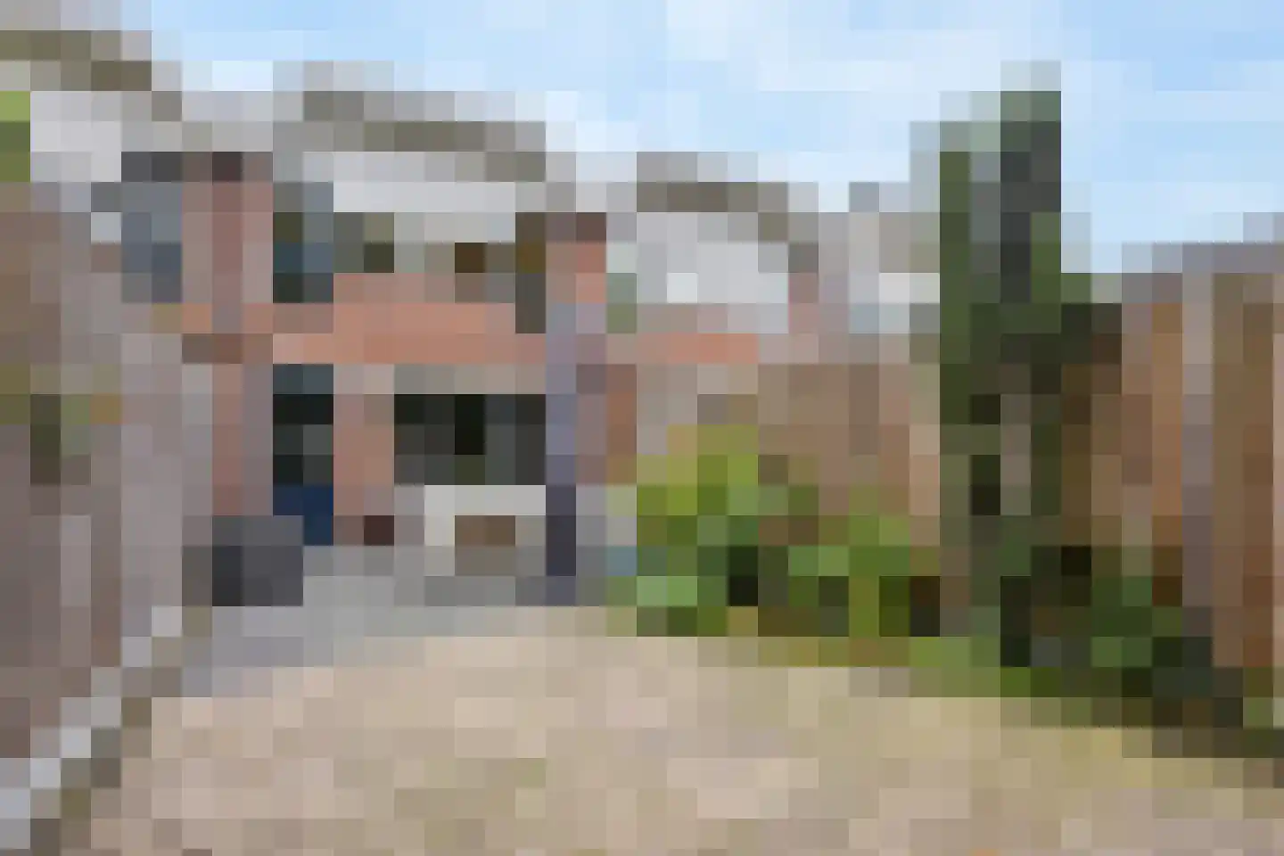 Wulkenbank 8 Leiden thumbnail 36